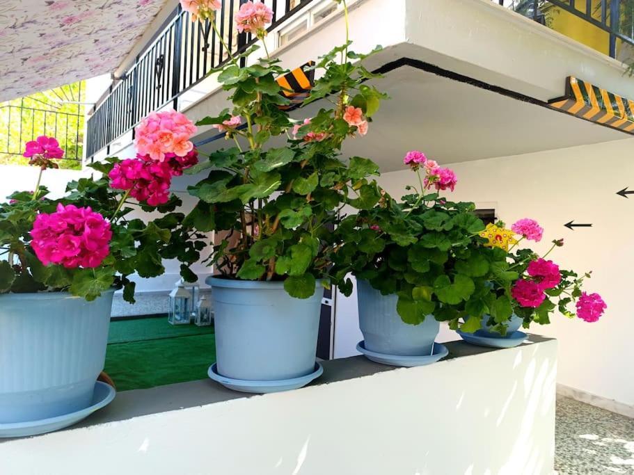 Sofia'S Home 9Min. Athens Airport 아르테미다 외부 사진